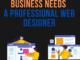 50 Reasons Why Your Business Needs a Professional Web Designer